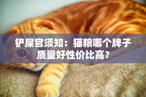 鏟屎官須知：貓糧哪個牌子質量好性價比高？