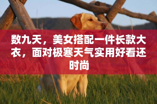 數九天，美女搭配一件長款大衣，面對極寒天氣實用好看還時尚