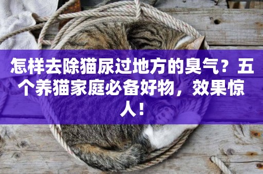 怎樣去除貓尿過地方的臭氣？五個養貓家庭必備好物，效果驚人！