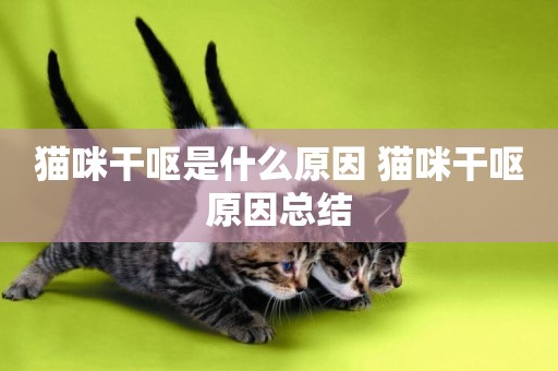 貓咪干嘔是什么原因 貓咪干嘔原因總結