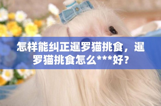 怎樣能糾正暹羅貓挑食，暹羅貓挑食怎么***好？