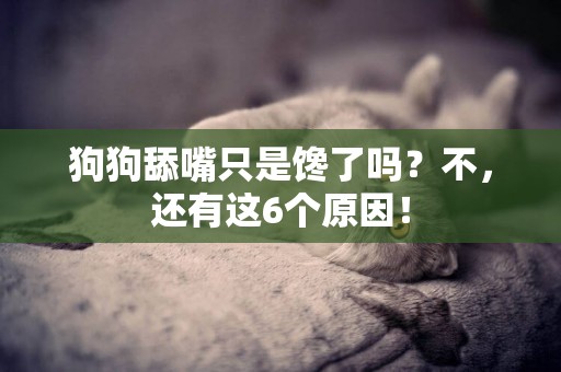 狗狗舔嘴只是饞了嗎？不，還有這6個原因！