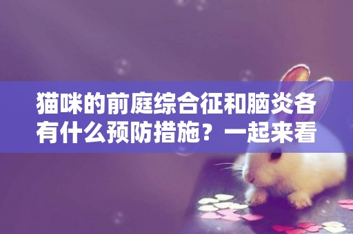 貓咪的前庭綜合征和腦炎各有什么預防措施？一起來看看吧！