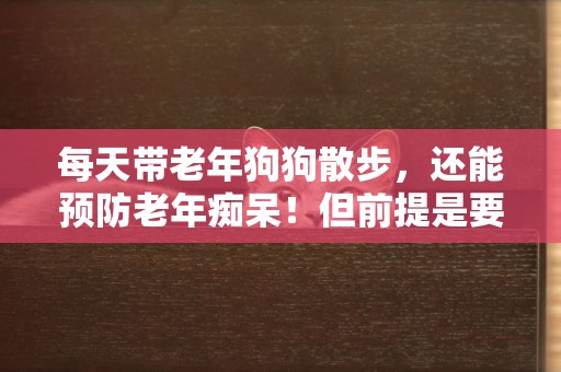 每天帶老年狗狗散步，還能預防老年癡呆！但前提是要做到這些
