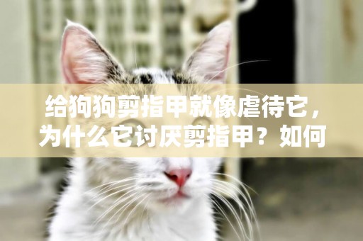 給狗狗剪指甲就像虐待它，為什么它討厭剪指甲？如何改變這種情況
