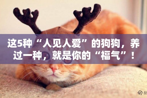 這5種“人見人愛”的狗狗，養過一種，就是你的“福氣”！