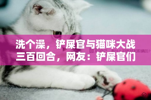洗個澡，鏟屎官與貓咪大戰三百回合，網友：鏟屎官們還是想開點吧