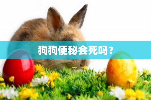 狗狗便秘會死嗎？