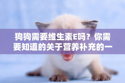 狗狗需要維生素E嗎？你需要知道的關于營養補充的一切