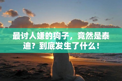 最討人嫌的狗子，竟然是泰迪？到底發生了什么！