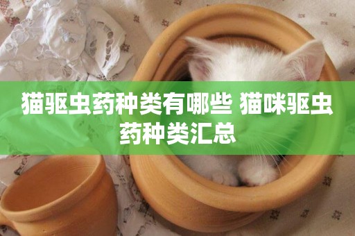 貓驅蟲藥種類有哪些 貓咪驅蟲藥種類匯總