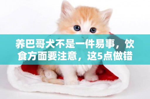 養巴哥犬不是一件易事，飲食方面要注意，這5點做錯會害了它們！