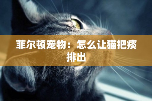 菲爾頓寵物：怎么讓貓把痰排出