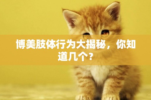 博美肢體行為大揭秘，你知道幾個？