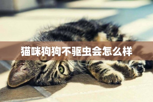 貓咪狗狗不驅蟲會怎么樣