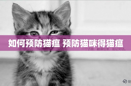如何預防貓瘟 預防貓咪得貓瘟