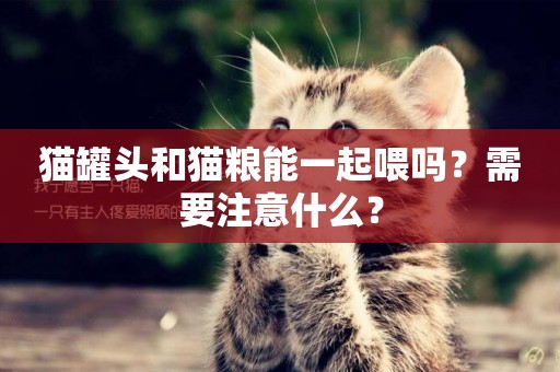 貓罐頭和貓糧能一起喂嗎？需要注意什么？