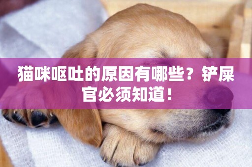 貓咪嘔吐的原因有哪些？鏟屎官必須知道！