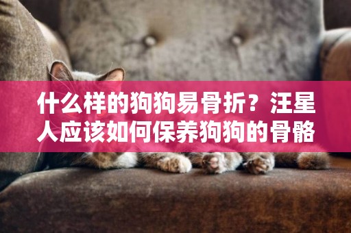 什么樣的狗狗易骨折？汪星人應該如何保養狗狗的骨骼