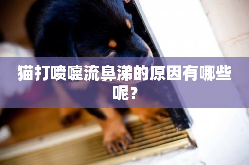 貓打噴嚏流鼻涕的原因有哪些呢？