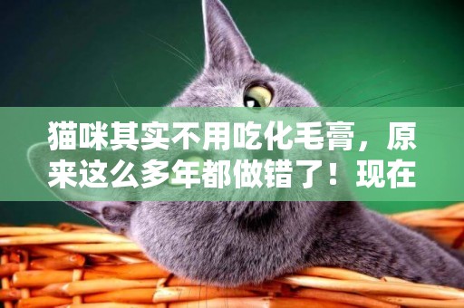 貓咪其實不用吃化毛膏，原來這么多年都做錯了！現在改還來得及