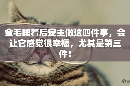 金毛睡著后寵主做這四件事，會讓它感覺很幸福，尤其是第三件！