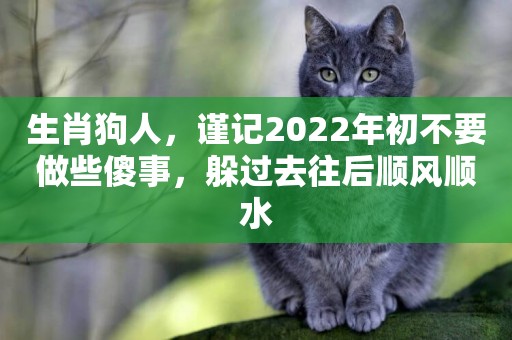 生肖狗人，謹記2022年初不要做些傻事，躲過去往后順風順水