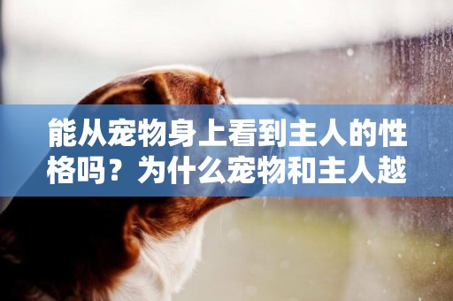 能從寵物身上看到主人的性格嗎？為什么寵物和主人越來越掛相了？