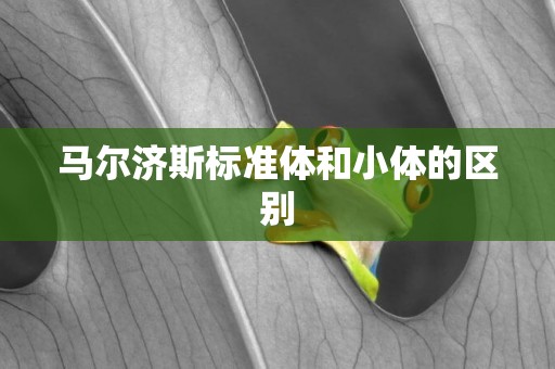 馬爾濟斯標準體和小體的區別