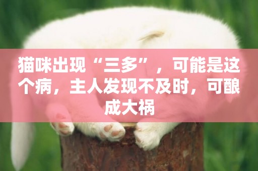 貓咪出現“三多”，可能是這個病，主人發現不及時，可釀成大禍