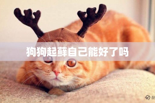 狗狗起蘚自己能好了嗎