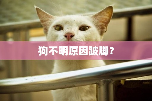 狗不明原因跛腳？