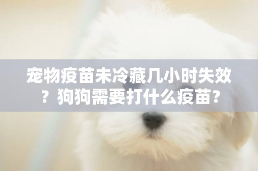 寵物疫苗未冷藏幾小時失效？狗狗需要打什么疫苗？