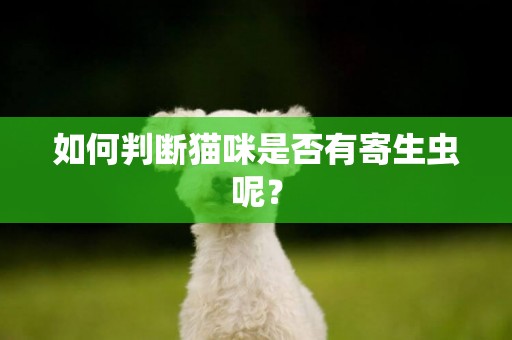 如何判斷貓咪是否有寄生蟲呢？