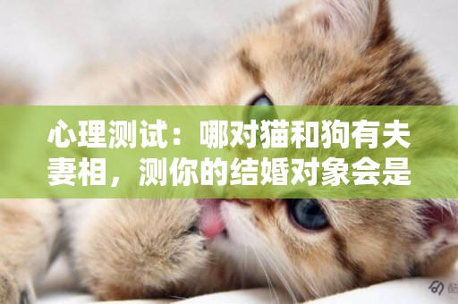 心理測試：哪對貓和狗有夫妻相，測你的結婚對象會是什么性格