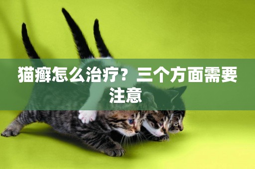 貓癬怎么治療？三個方面需要注意 
