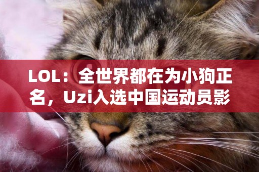 LOL：全世界都在為小狗正名，Uzi入選中國運動員影響指數百人榜
