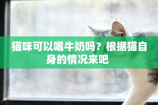 貓咪可以喝牛奶嗎？根據貓自身的情況來吧 