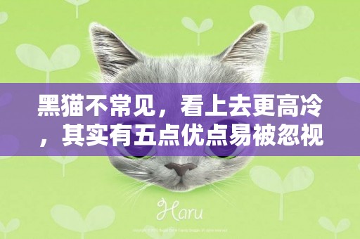 黑貓不常見，看上去更高冷，其實有五點優點易被忽視
