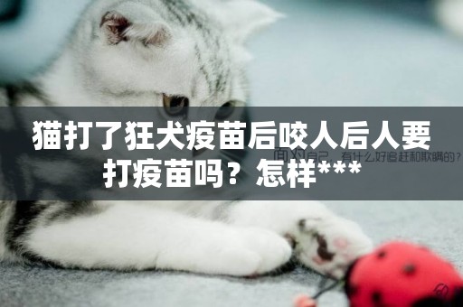 貓打了狂犬疫苗后咬人后人要打疫苗嗎？怎樣***