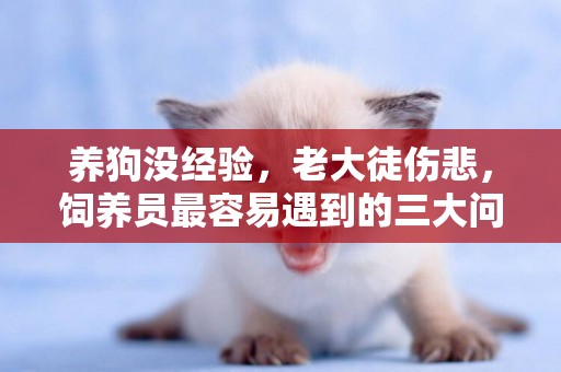 養狗沒經驗，老大徒傷悲，飼養員最容易遇到的三大問題
