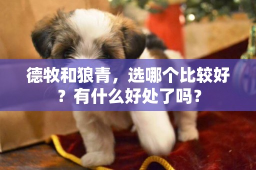 德牧和狼青，選哪個比較好？有什么好處了嗎？