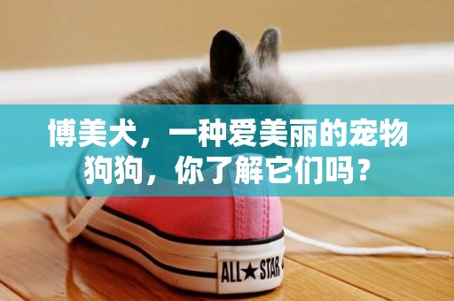 博美犬，一種愛美麗的寵物狗狗，你了解它們嗎？