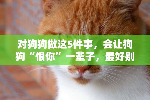 對狗狗做這5件事，會讓狗狗“恨你”一輩子，最好別犯！