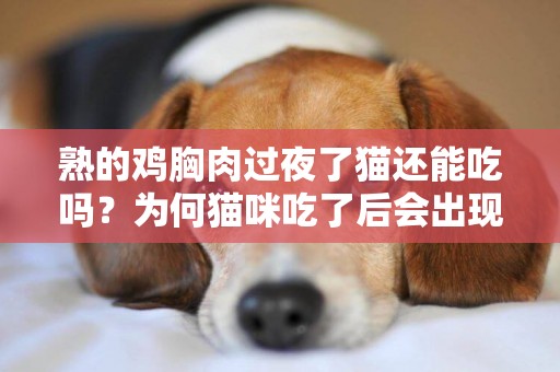 熟的雞胸肉過夜了貓還能吃嗎？為何貓咪吃了后會出現健康問題？