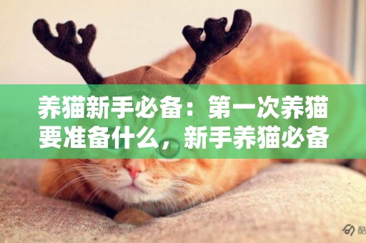 養貓新手必備：第一次養貓要準備什么，新手養貓必備小知識科普！