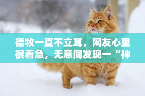 德牧一直不立耳，網友心里很著急，無意間發現一“神器”