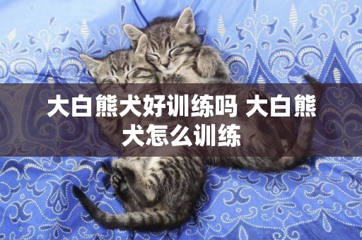 大白熊犬好訓練嗎 大白熊犬怎么訓練