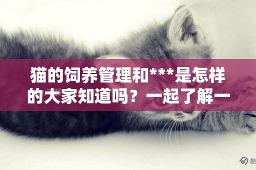 貓的飼養管理和***是怎樣的大家知道嗎？一起了解一下吧！