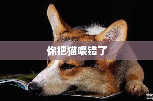你把貓喂錯了